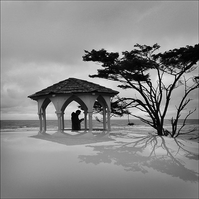 Kalaloch Washington 2011